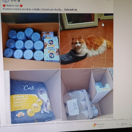 Srdcem pro kočky, z.s.